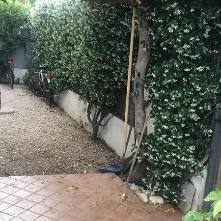 公寓 Casa Di Clara 弗雷杰内